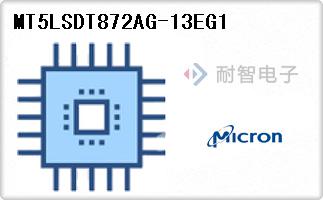 MT5LSDT872AG-13EG1