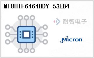 MT8HTF6464HDY-53EB4