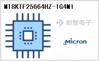 MT8KTF25664HZ-1G4M1