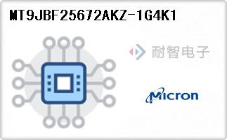 MT9JBF25672AKZ-1G4K1