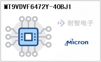 MT9VDVF6472Y-40BJ1