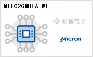 MTFC2GMUEA-WT