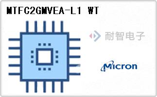 MTFC2GMVEA-L1 WT