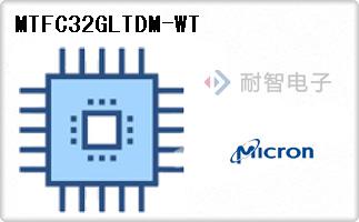 MTFC32GLTDM-WT