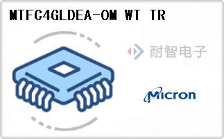 MTFC4GLDEA-0M WT TR