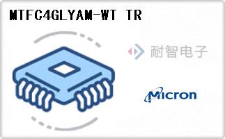 MTFC4GLYAM-WT TR