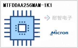 MTFDDAA256MAM-1K1