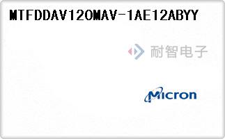 MTFDDAV120MAV-1AE12A