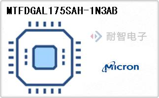 MTFDGAL175SAH-1N3AB