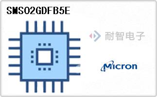 SMS02GDFB5E