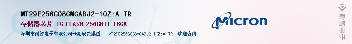 MT29E256G08CMCABJ2-10Z:A TRӦ-ǵ