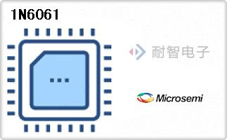 1N6061