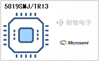 5819SMJ/TR13