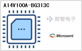 A14V100A-BG313C