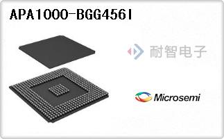APA1000-BGG456I