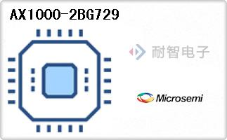 AX1000-2BG729