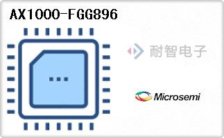 AX1000-FGG896