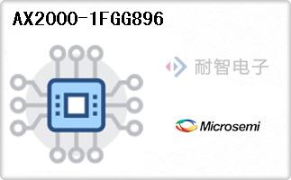 AX2000-1FGG896