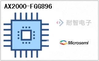 AX2000-FGG896