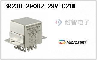 BR230-290B2-28V-021M