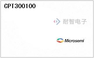 CPT300100