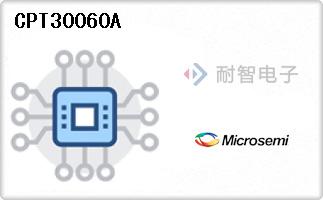 CPT30060A