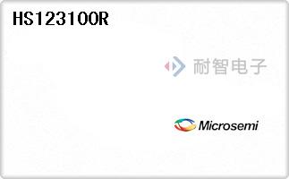 HS123100R