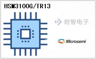 HSM3100G/TR13