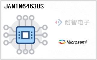 JAN1N6463US