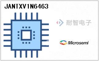 JANTXV1N6463