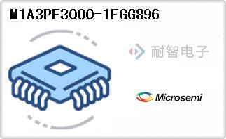 M1A3PE3000-1FGG896