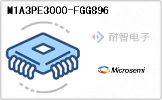 M1A3PE3000-FGG896