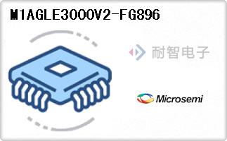 M1AGLE3000V2-FG896