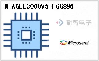 M1AGLE3000V5-FGG896