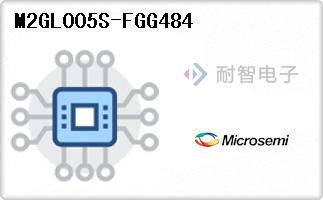 M2GL005S-FGG484