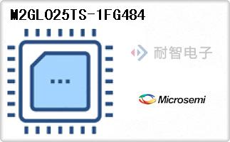 M2GL025TS-1FG484