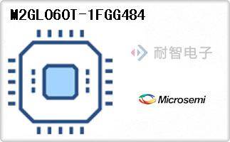 M2GL060T-1FGG484