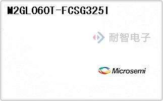 M2GL060T-FCSG325I