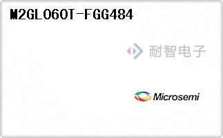 M2GL060T-FGG484