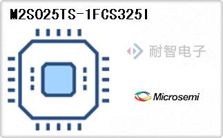 M2S025TS-1FCS325I