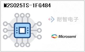 M2S025TS-1FG484
