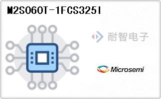 M2S060T-1FCS325I