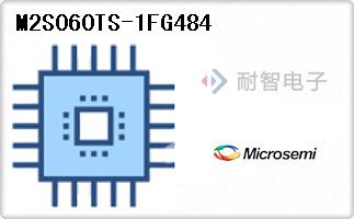M2S060TS-1FG484