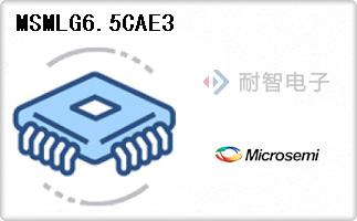 MSMLG6.5CAE3