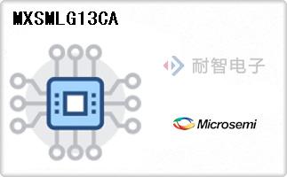 MXSMLG13CA