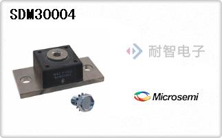 SDM30004