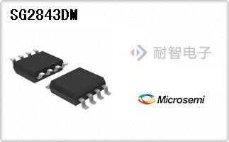 SG2843DM
