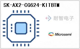 SK-AX2-CG624-KITBTM代理