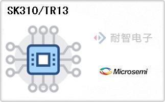 SK310/TR13