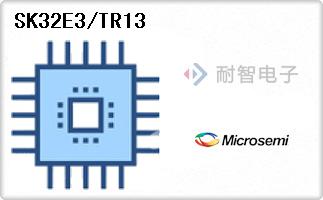 SK32E3/TR13